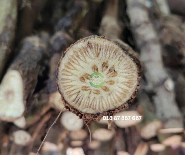 এটো চুইঝাল ৫০০ গ্রাম